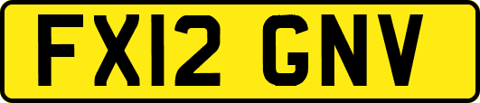 FX12GNV