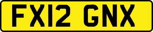 FX12GNX