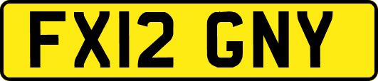 FX12GNY
