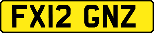 FX12GNZ