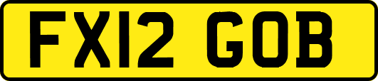 FX12GOB