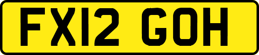 FX12GOH