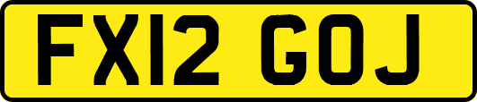 FX12GOJ