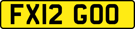 FX12GOO