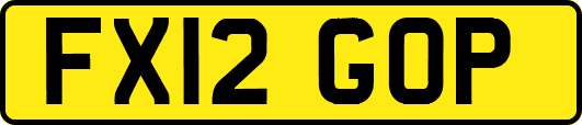 FX12GOP