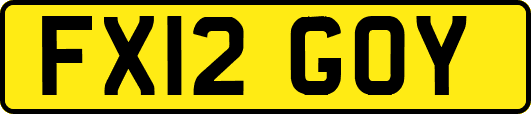 FX12GOY