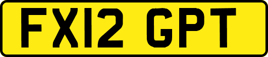 FX12GPT