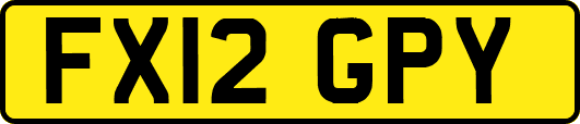 FX12GPY