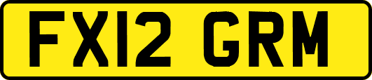 FX12GRM