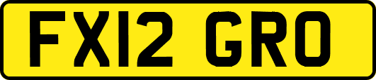 FX12GRO