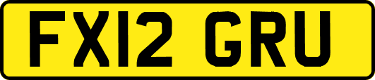 FX12GRU