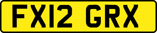 FX12GRX