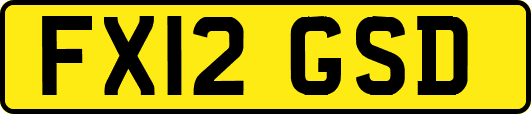 FX12GSD