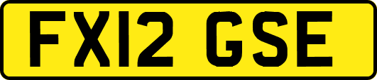 FX12GSE