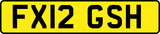 FX12GSH