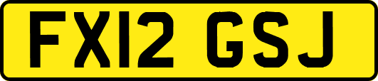 FX12GSJ