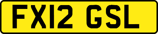 FX12GSL