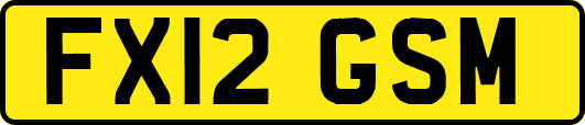 FX12GSM