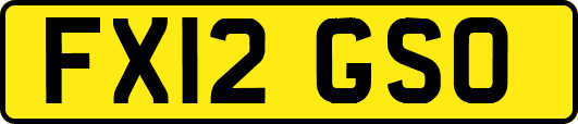 FX12GSO