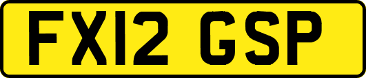 FX12GSP