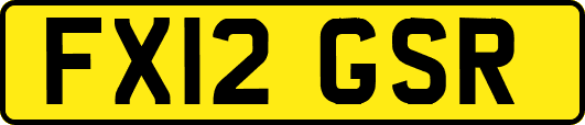 FX12GSR