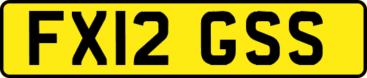 FX12GSS