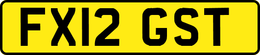 FX12GST