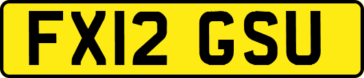 FX12GSU