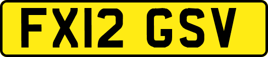 FX12GSV