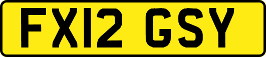 FX12GSY