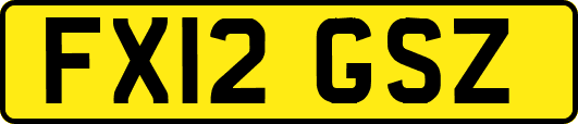 FX12GSZ