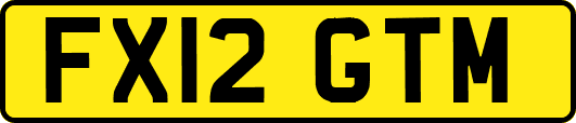 FX12GTM