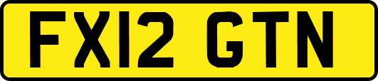 FX12GTN