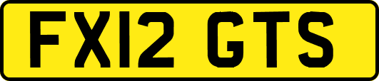 FX12GTS