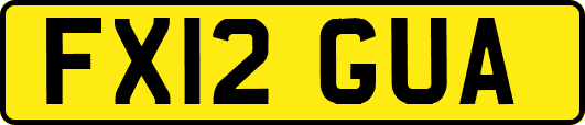 FX12GUA