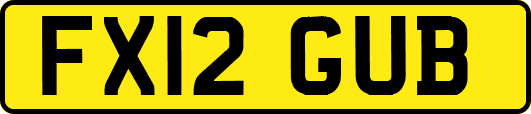 FX12GUB