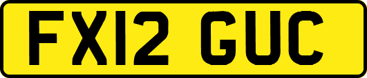 FX12GUC