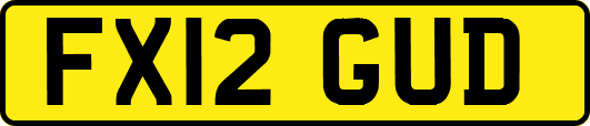 FX12GUD