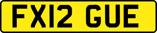FX12GUE
