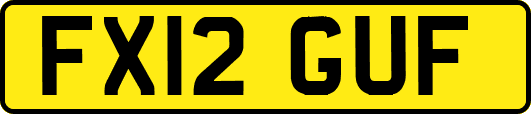 FX12GUF
