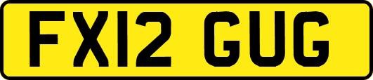 FX12GUG