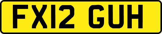 FX12GUH