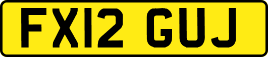 FX12GUJ