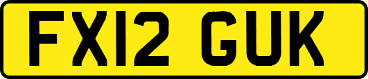 FX12GUK