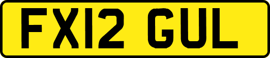 FX12GUL