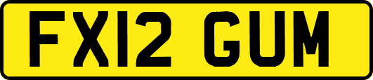 FX12GUM