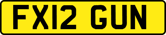 FX12GUN