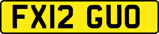 FX12GUO