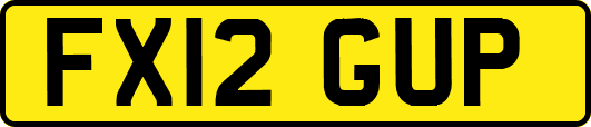FX12GUP