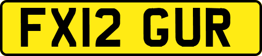 FX12GUR